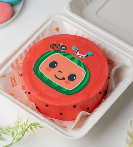 Cocomelon Chocolate Bento Cake